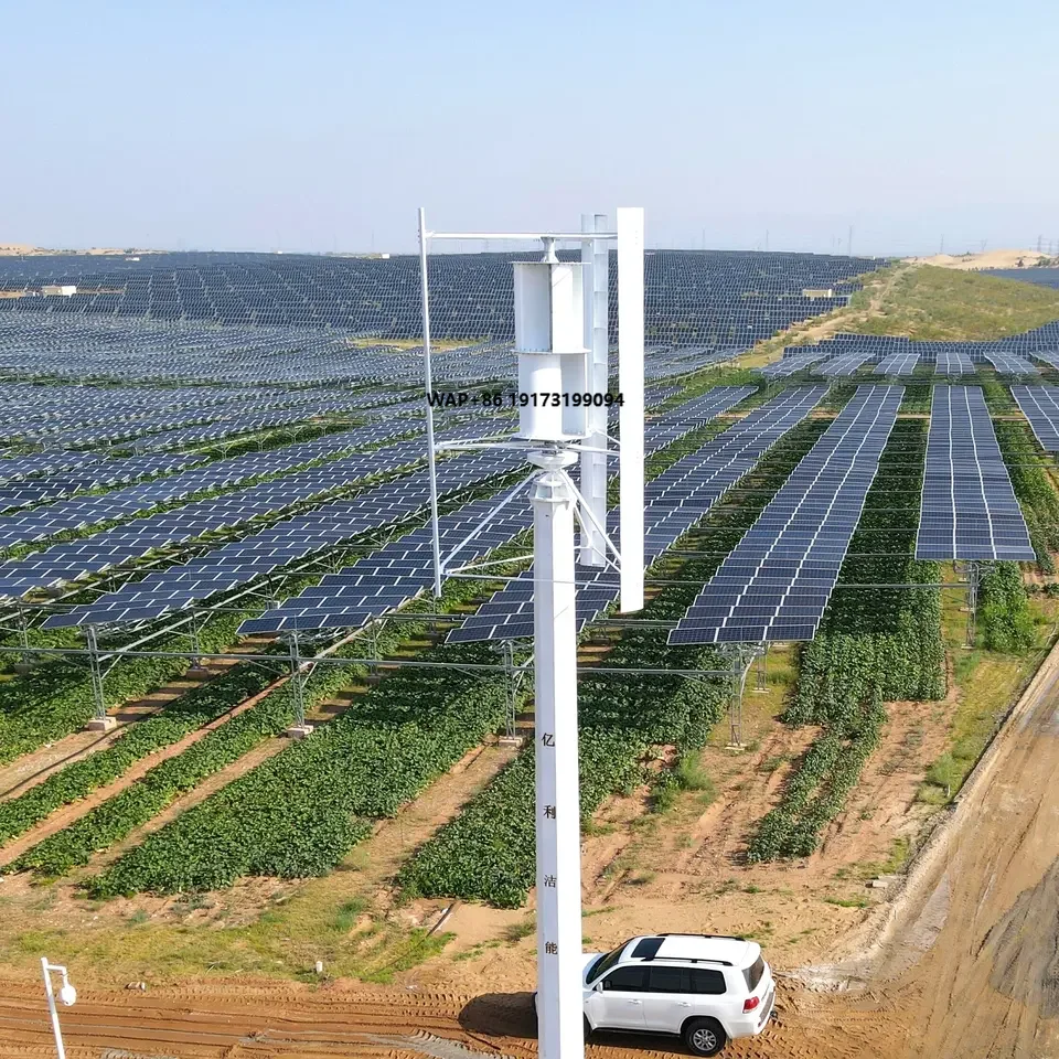 Wind Turbine Generator - Mini-éolienne de Chine avec générateur à