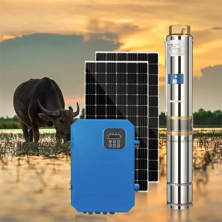 Pompe à eau solaire submersibl - Solar Water Pump avis et prix