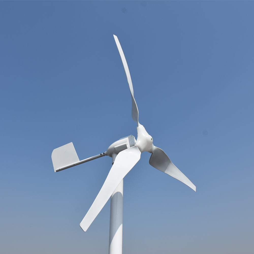 Système d'alimentation de géné - Wind Turbine Generator avis et prix